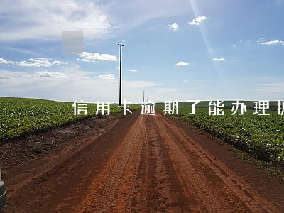 信用卡逾期了能办理护照吗 信用卡逾期了能办理护照吗