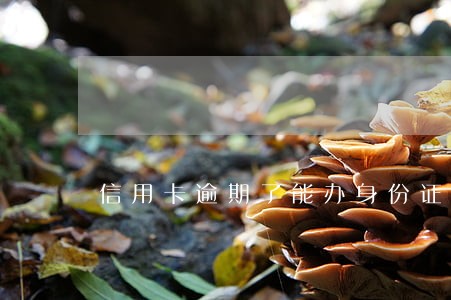 信用卡逾期了能办身份证吗