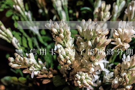 信用卡逾期了能协商分期么 信用卡逾期了能协商分期么