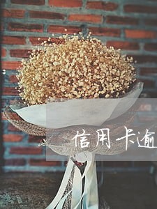信用卡逾期了能去当兵吗 信用卡逾期了能去当兵吗