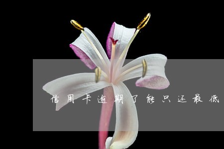 信用卡逾期了能只还最低吗