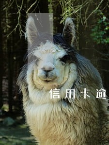 信用卡逾期了能商贷买房吗 信用卡逾期了能商贷买房吗