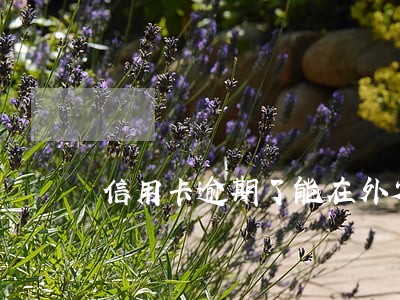 信用卡逾期了能在外省还清吗