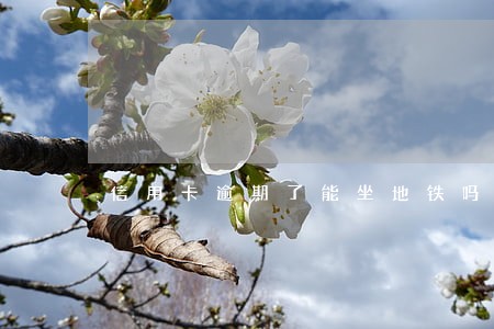 信用卡逾期了能坐地铁吗 信用卡逾期了能坐地铁吗