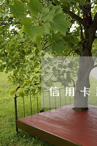 信用卡逾期了能坐火车吗 信用卡逾期了能坐火车吗