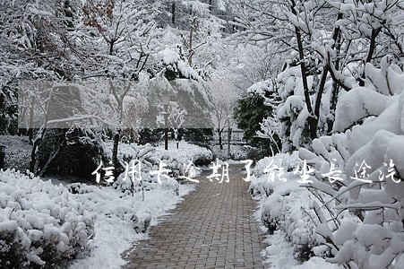 信用卡逾期了能坐长途汽车吗 信用卡逾期了能坐长途汽车吗