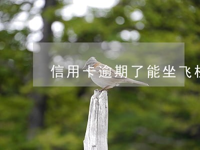 信用卡逾期了能坐飞机动车吗 信用卡逾期了能坐飞机动车吗
