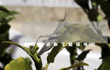 信用卡逾期了能抹掉吗 信用卡逾期了能抹掉吗