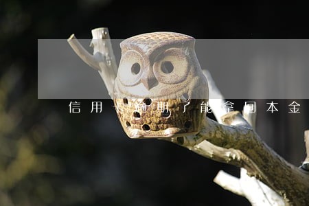 信用卡逾期了能拿回本金吗 信用卡逾期了能拿回本金吗