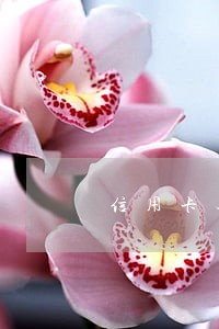 信用卡逾期了能最低还款吗