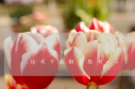 信用卡逾期了能用pos机吗