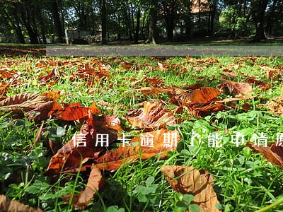 信用卡逾期了能申请原创吗