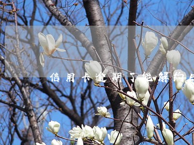 信用卡逾期了能解约ETC吗 信用卡逾期了能解约ETC吗