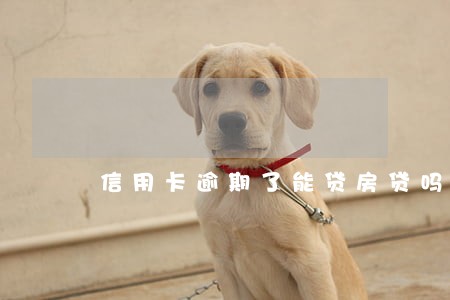 信用卡逾期了能贷房贷吗 信用卡逾期了能贷房贷吗