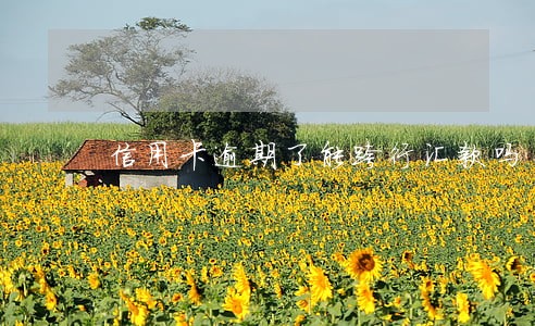 信用卡逾期了能跨行汇款吗 信用卡逾期了能跨行汇款吗