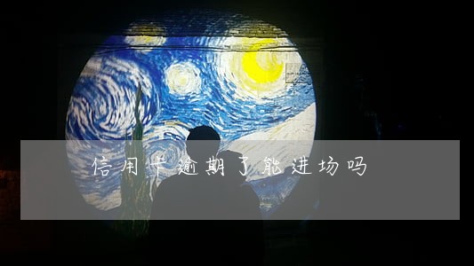 信用卡逾期了能进场吗 信用卡逾期了能进场吗