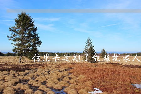 信用卡逾期了能骚扰家人吗 信用卡逾期了能骚扰家人吗