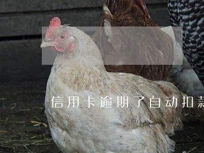 信用卡逾期了自动扣款怎么办