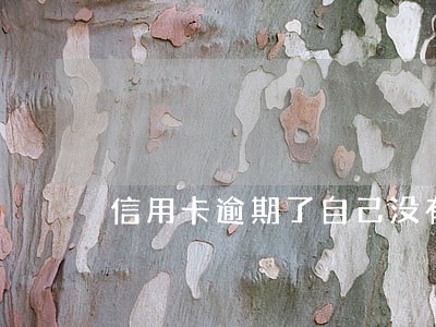 信用卡逾期了自己没有还款能力 信用卡逾期了自己没有还款能力