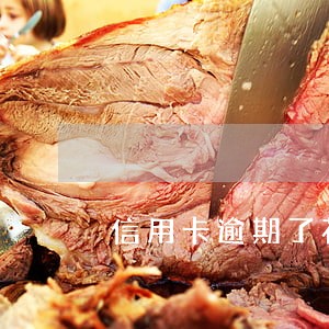 信用卡逾期了花呗为什么还能有 信用卡逾期了花呗为什么还能有