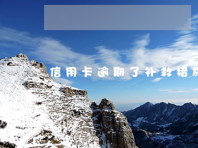 信用卡逾期了补救措施 信用卡逾期了补救措施