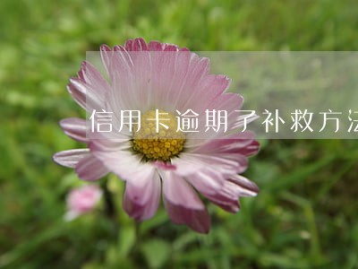 信用卡逾期了补救方法 信用卡逾期了补救方法