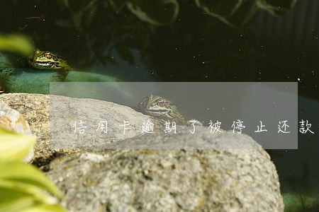 信用卡逾期了被停止还款