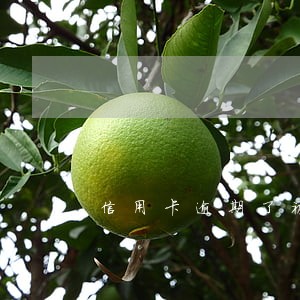 信用卡逾期了被冻结还清能用吗 信用卡逾期了被冻结还清能用吗