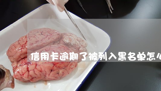 信用卡逾期了被列入黑名单怎么办 信用卡逾期了被列入黑名单怎么办