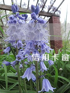 信用卡逾期了被告要坐牢 信用卡逾期了被告要坐牢