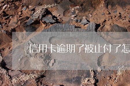 信用卡逾期了被止付了怎么办 信用卡逾期了被止付了怎么办