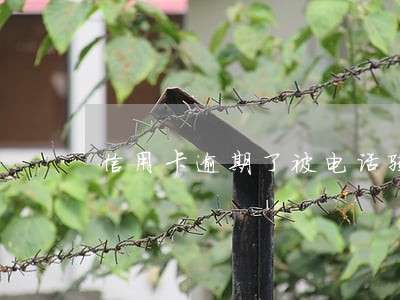 信用卡逾期了被电话骚扰 信用卡逾期了被电话骚扰