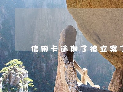 信用卡逾期了被立案了 信用卡逾期了被立案了