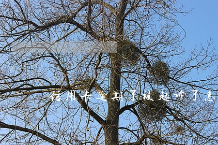 信用卡逾期了被起诉了怎么协商 信用卡逾期了被起诉了怎么协商
