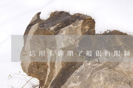 信用卡逾期了被银行限制消费令