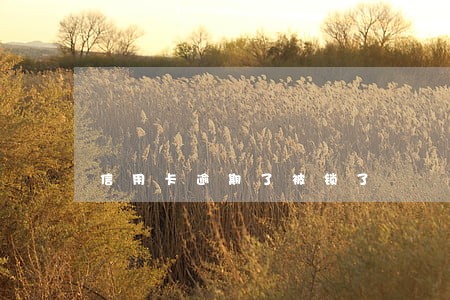 信用卡逾期了被锁了 信用卡逾期了被锁了