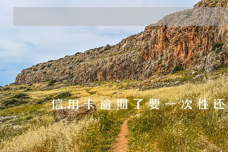 信用卡逾期了要一次性还款吗 信用卡逾期了要一次性还款吗