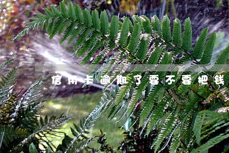 信用卡逾期了要不要把钱还 信用卡逾期了要不要把钱还