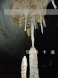 信用卡逾期了要不要点一点还 信用卡逾期了要不要点一点还