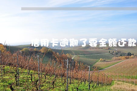 信用卡逾期了要全额还款吗 信用卡逾期了要全额还款吗