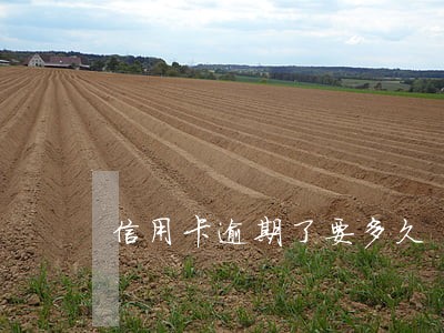 信用卡逾期了要多久 信用卡逾期了要多久