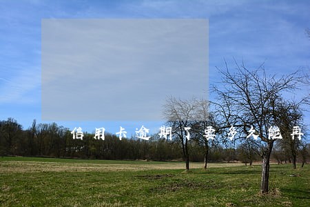 信用卡逾期了要多久能再申请