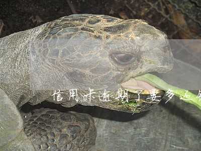 信用卡逾期了要多还钱吗 信用卡逾期了要多还钱吗