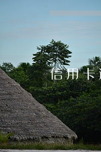 信用卡逾期了要怎么办才能起诉
