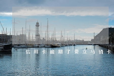 信用卡逾期了要立马销卡 信用卡逾期了要立马销卡
