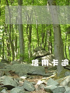 信用卡逾期了要签订什么解除合同