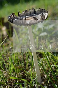 信用卡逾期了要账说去家里要钱