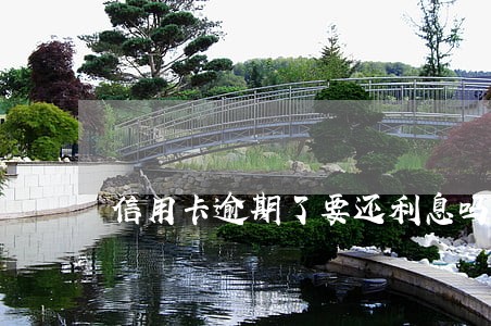 信用卡逾期了要还利息吗 信用卡逾期了要还利息吗