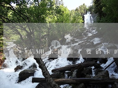 信用卡逾期了要销卡吗 信用卡逾期了要销卡吗