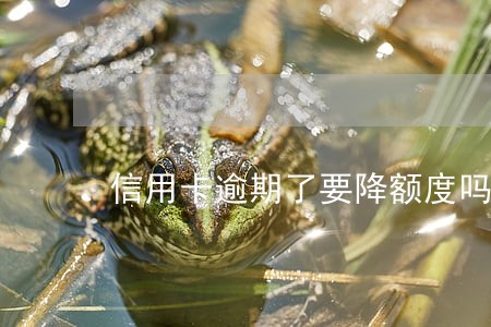 信用卡逾期了要降额度吗 信用卡逾期了要降额度吗